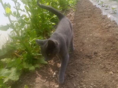 bila puna iskušenja i problema, drugu smo uspješno savladali