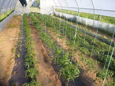 bila puna iskušenja i problema, drugu smo uspješno savladali