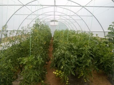 bila puna iskušenja i problema, drugu smo uspješno savladali