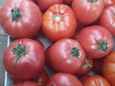 bila puna iskušenja i problema, drugu smo uspješno savladali