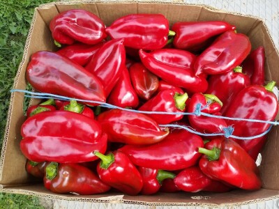 bila puna iskušenja i problema, drugu smo uspješno savladali