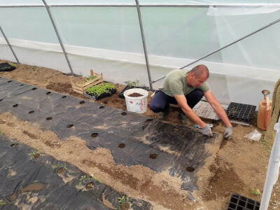 Prva godina u plasteničkoj proizvodnji je ubjedljivo najteža