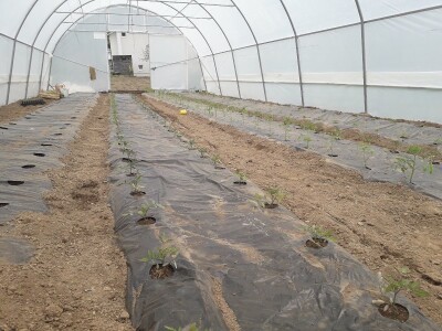 bila puna iskušenja i problema, drugu smo uspješno savladali