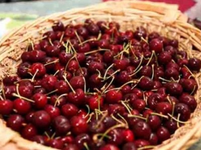 Dani Bilećkih proizvoda i stvaralaštva 2015