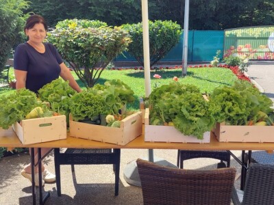 Organska zaštita povrća Organska zaštita povrća