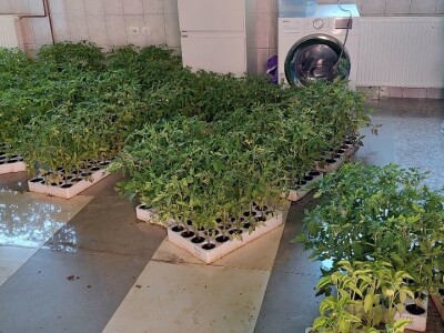 Biljana Kesrović, gazdinstvo Dunjica