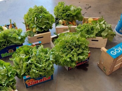 Biljana Kesrović, gazdinstvo Dunjica