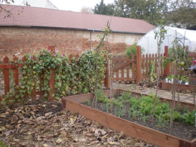 Bio bašta pre snega