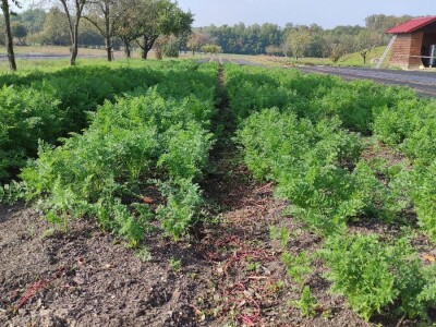 Bio-zrno d.o.o. eko imanje