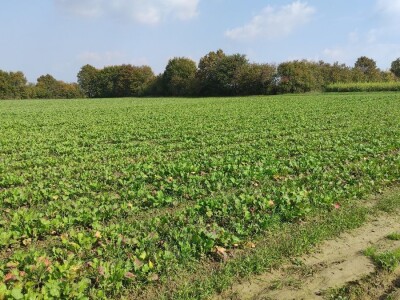 Bio-zrno d.o.o. eko imanje