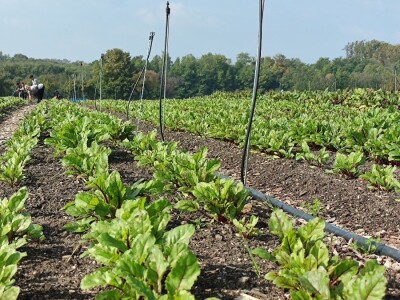 Bio-zrno d.o.o. eko imanje