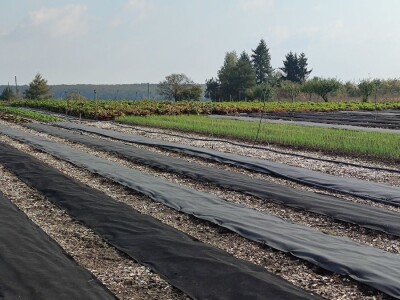 Bio-zrno d.o.o. eko imanje