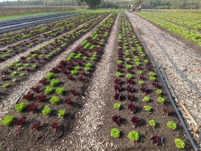 Bio-zrno d.o.o. eko imanje