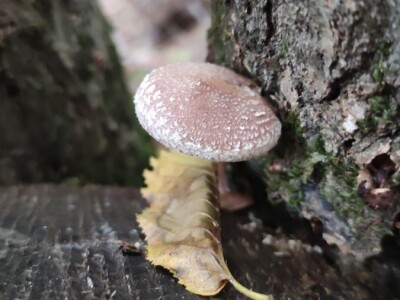 Bio-zrno d.o.o. eko imanje