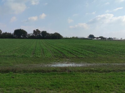 Bio-zrno d.o.o. eko imanje