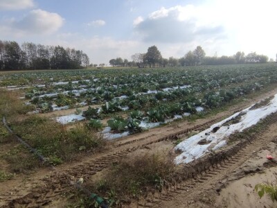 Bio-zrno d.o.o. eko imanje