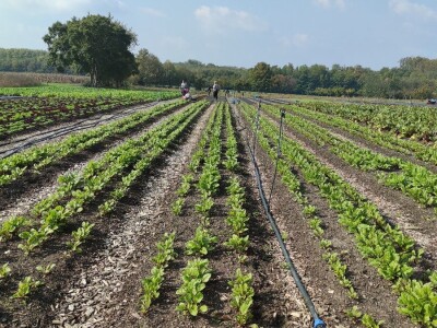 Bio-zrno d.o.o. eko imanje