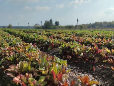 Bio-zrno d.o.o. eko imanje