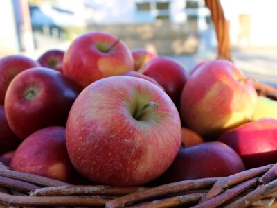Biobertrieb Moarhof - ekološka farma