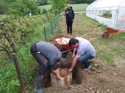 Biodinamička poljoprivreda