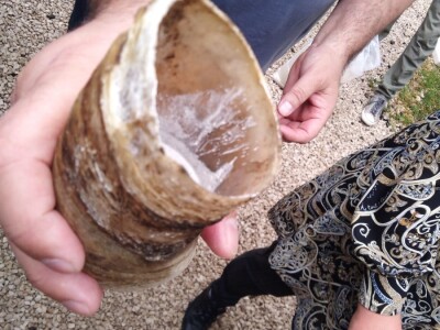 Biodinamička poljoprivreda