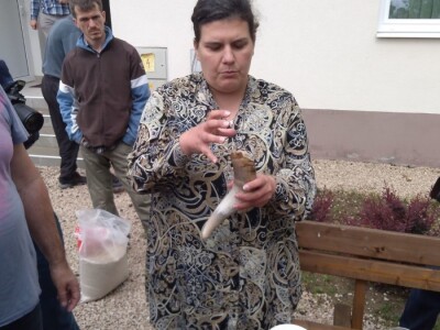 Biodinamička poljoprivreda