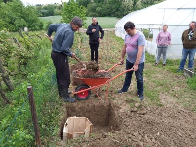 Biodinamička poljoprivreda