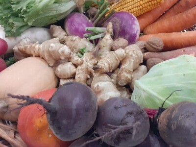 Biodinamička poljoprivreda