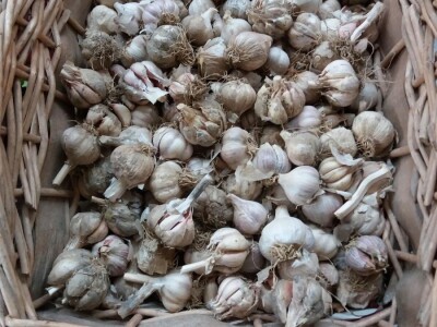 Biodinamička poljoprivreda