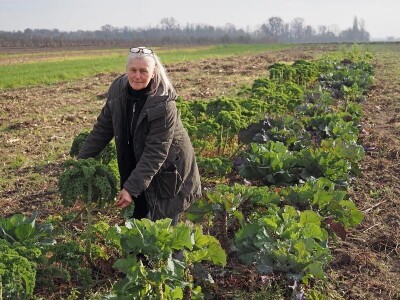 Biodinamička poljoprivreda