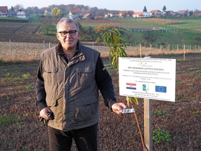 Biodinamička poljoprivreda