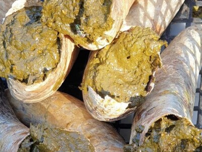 Biodinamičko gospodarstvo Biomara Iličić Biodinamičko gospodarstvo Biomara Iličić