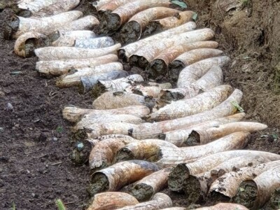 Biodinamičko gospodarstvo Biomara Iličić Biodinamičko gospodarstvo Biomara Iličić