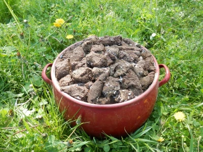 Biodinamičko gospodarstvo Biomara Iličić