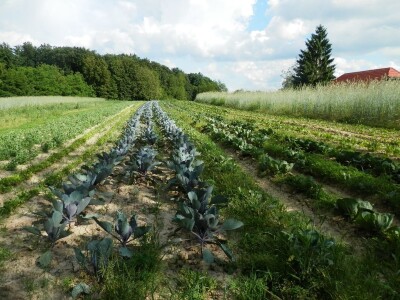 Biodinamičko gospodarstvo Biomara Iličić Biodinamičko gospodarstvo Biomara Iličić