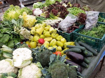 Biodinamičko gospodarstvo Biomara Iličić Biodinamičko gospodarstvo Biomara Iličić