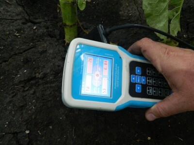Biofor System: BioP i Nitrogenius Biofor System: BioP i Nitrogenius