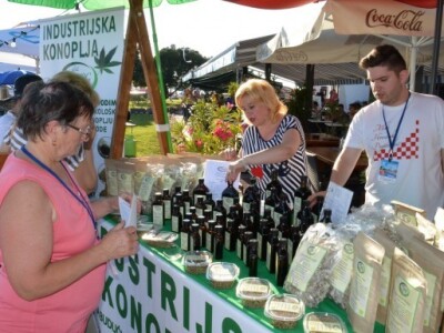 Biogradski stol počeo je kao manifestacija lokalnog karaktera