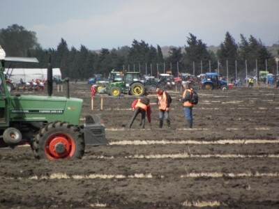 Prvi dan 59. svjetskog natjecanjanja u oranju