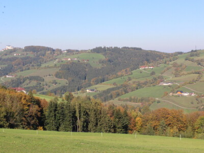 Biohof Ebenbauer - ekološka farma u austrijskim Alpama