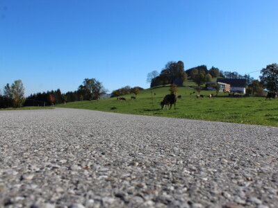 Biohof Ebenbauer - ekološka farma u austrijskim Alpama