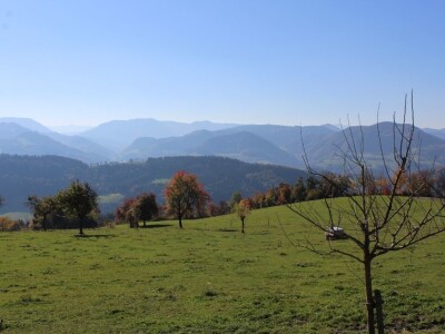 Biohof Ebenbauer - ekološka farma u austrijskim Alpama