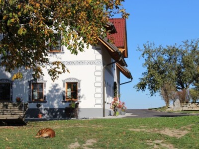 Biohof Ebenbauer - ekološka farma u austrijskim Alpima