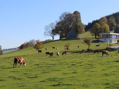 Biohof Ebenbauer - ekološka farma u austrijskim Alpima