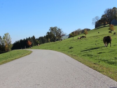 Biohof Ebenbauer - ekološka farma u austrijskim Alpima