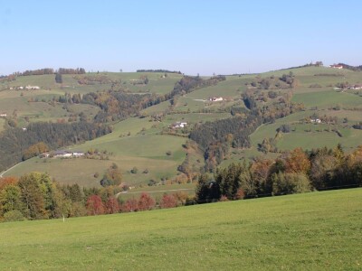 Biohof Ebenbauer - ekološka farma u austrijskim Alpima