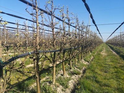 BIOinput - edukacijsko putovanje u Italiju