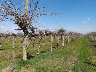 BIOinput - edukacijsko putovanje u Italiju