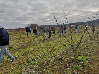 BIOinput predavanje i pokazna rezidba lijeske