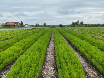 Zagrebačka županija Zagrebačka županija